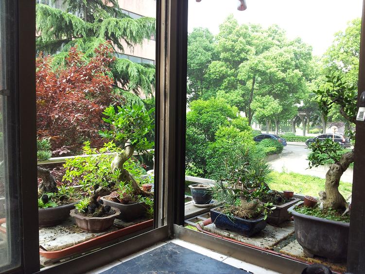 20120511_090028.jpg