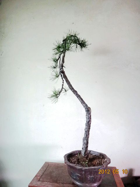 DSC00052.JPG