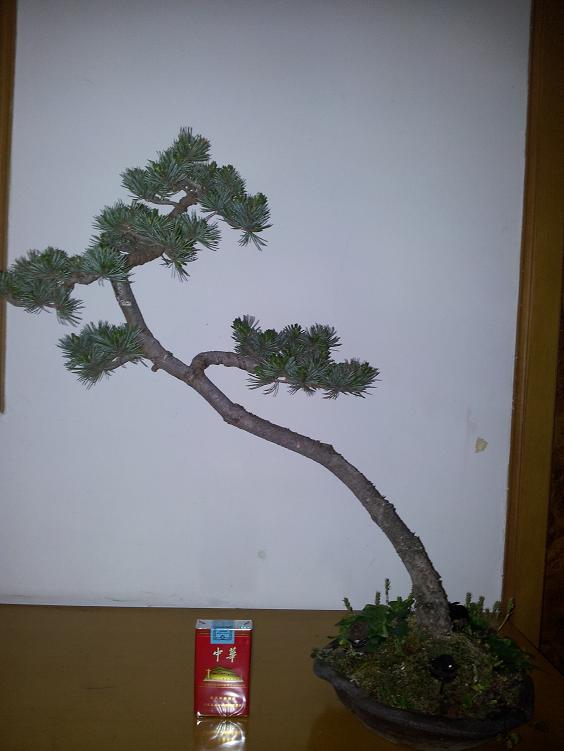 20120510_211439.jpg