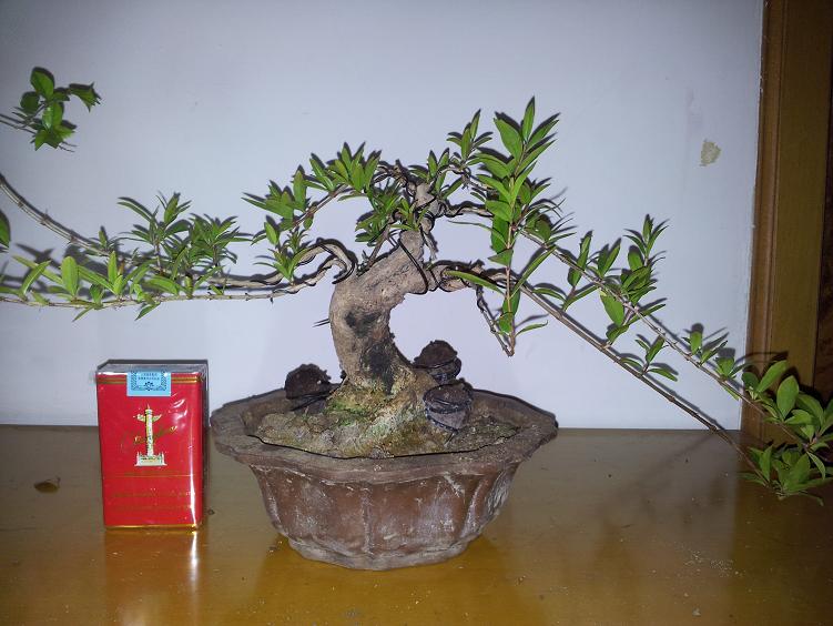 20120510_211947.jpg