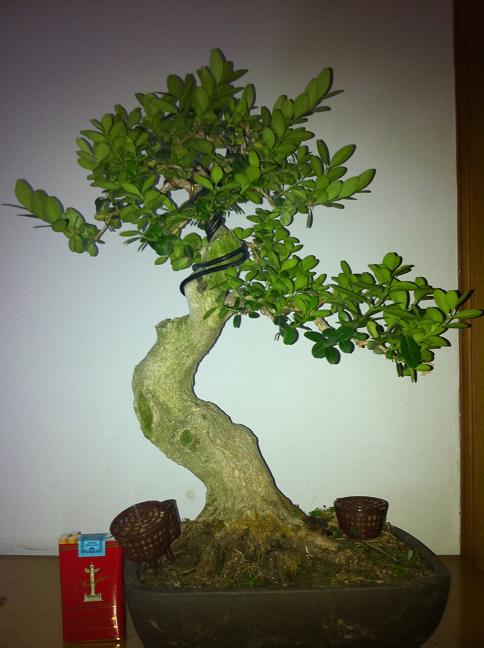 2012510 057.jpg