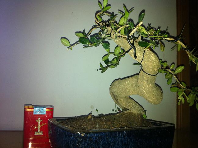 2012510 059.jpg