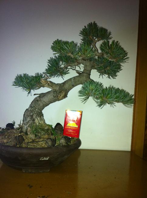 2012510 062.jpg