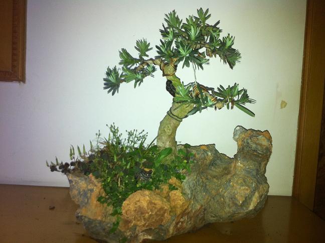 2012510 068.jpg