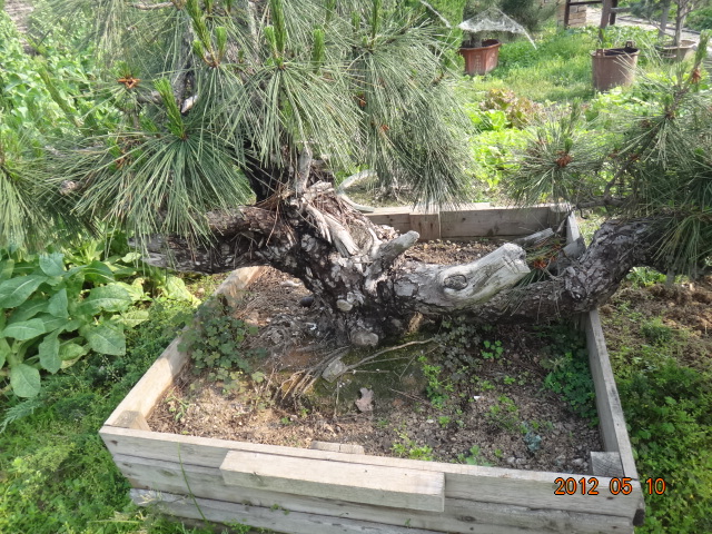 DSC00056.JPG