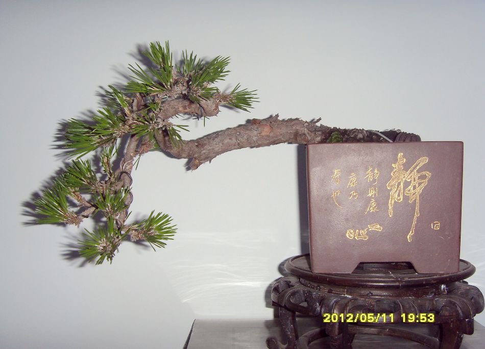SDC12820.JPG