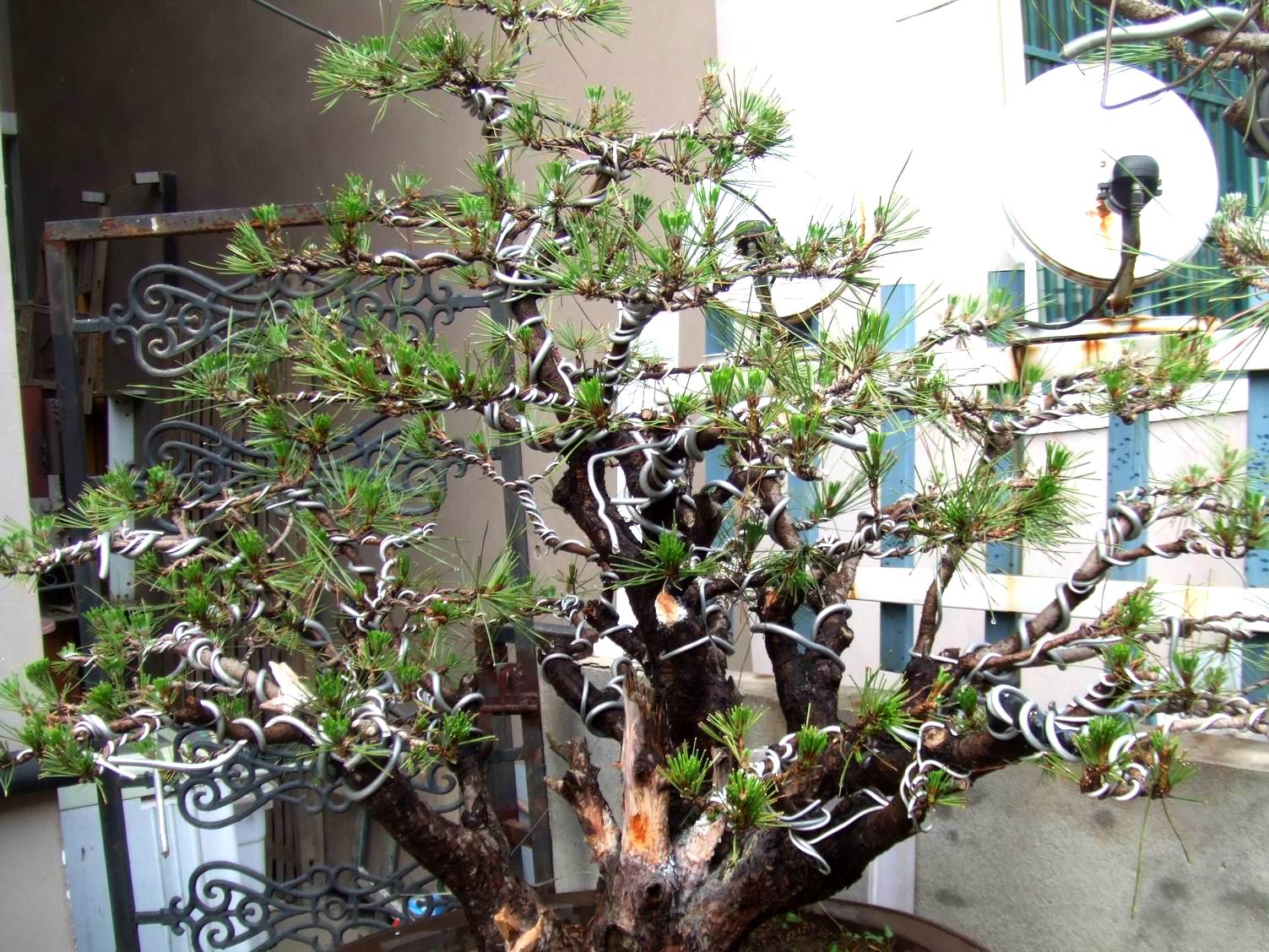 ع С DSCF8935.JPG
