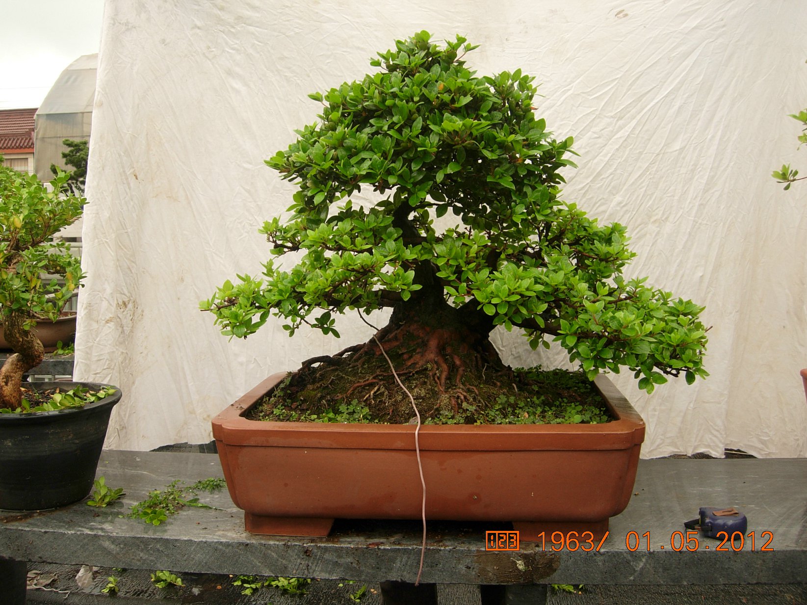 DSCN6042.JPG