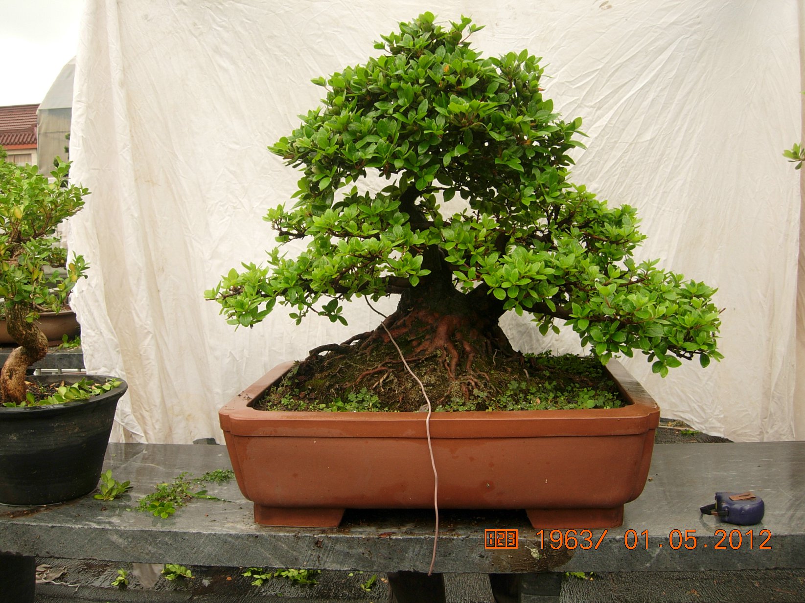 DSCN6043.JPG