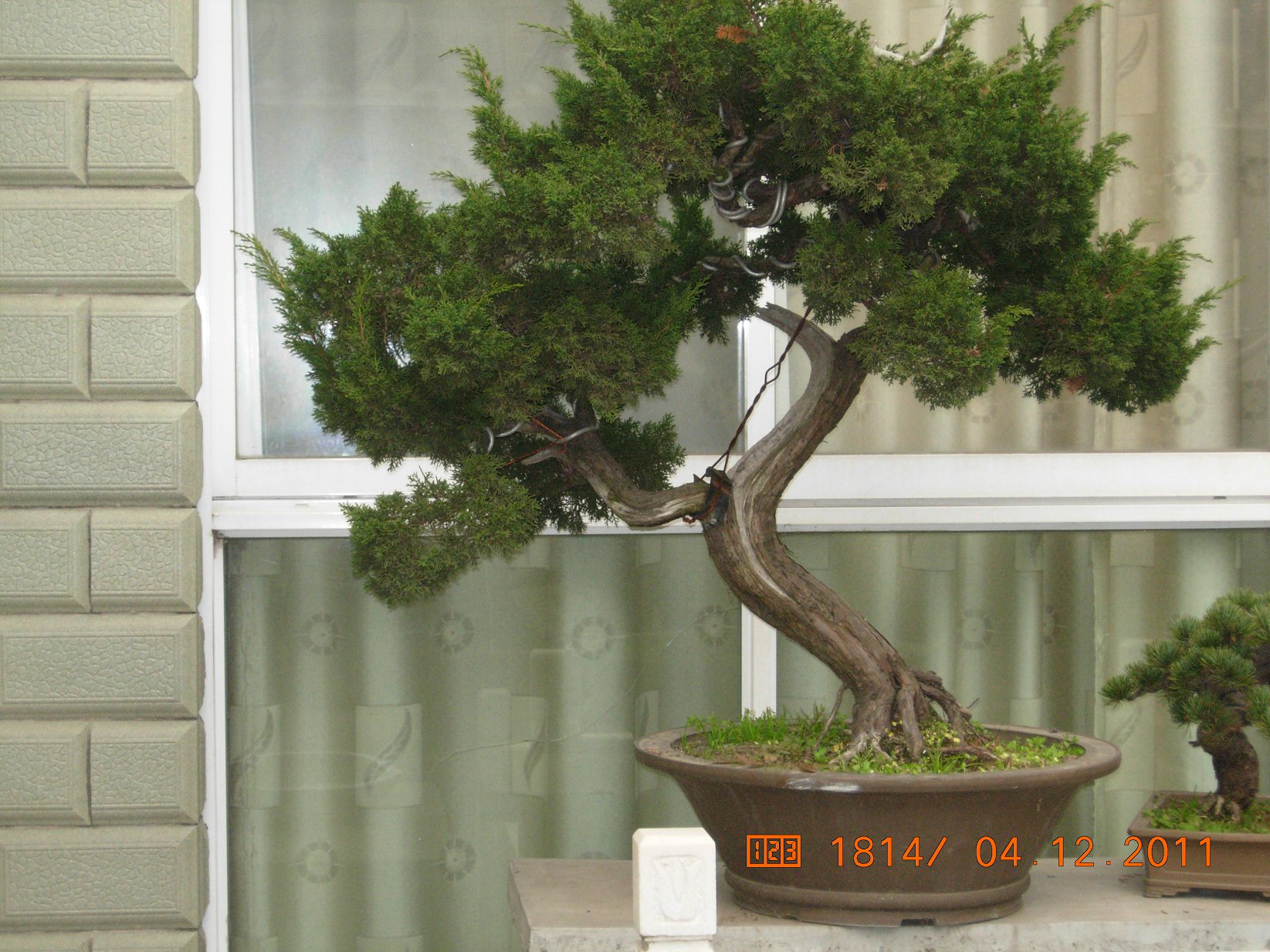 DSCN4777.JPG