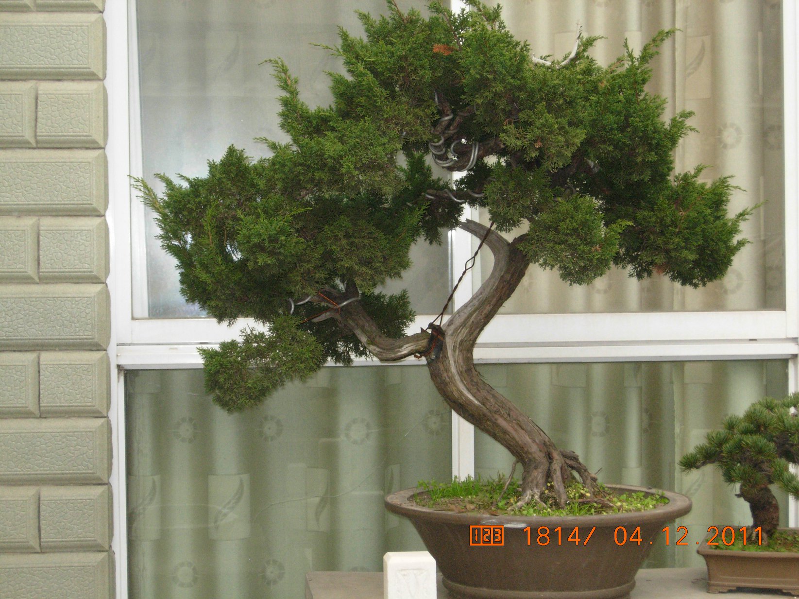DSCN4778.JPG