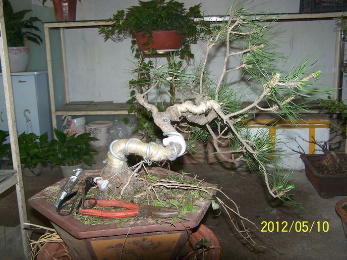 Ƭ 90389.jpg