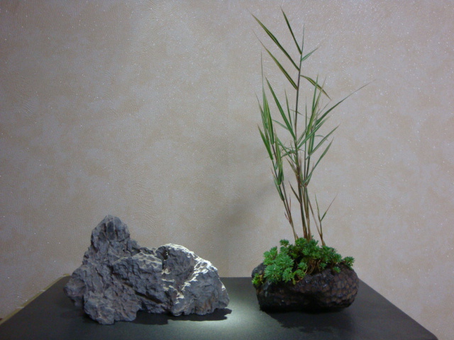DSC08874.JPG