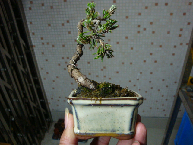 DSC08840.JPG