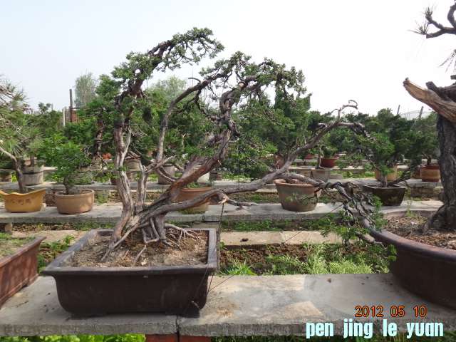 DSC00035.JPG