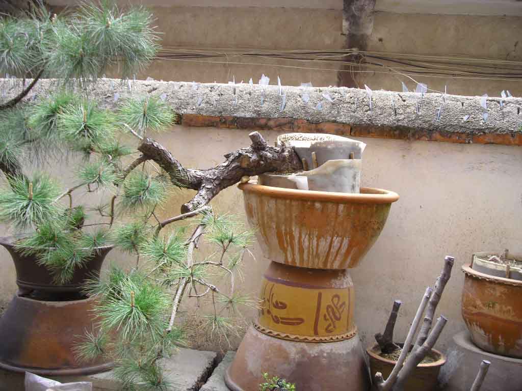 SDC12722.JPG