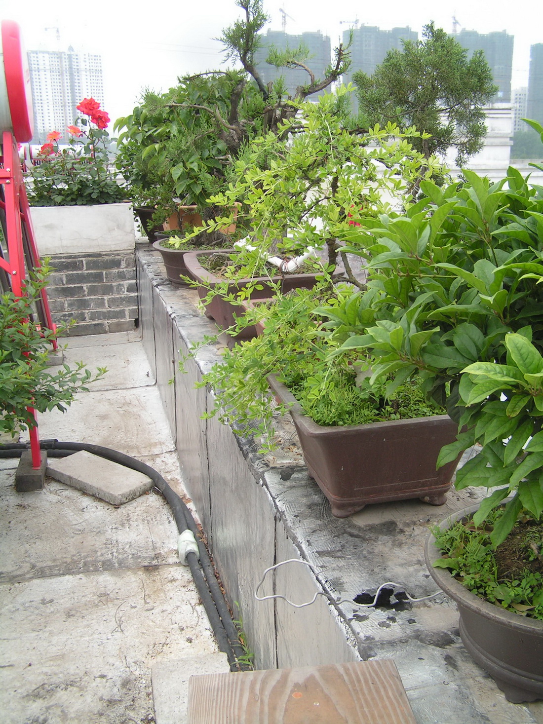 PICT0421.JPG