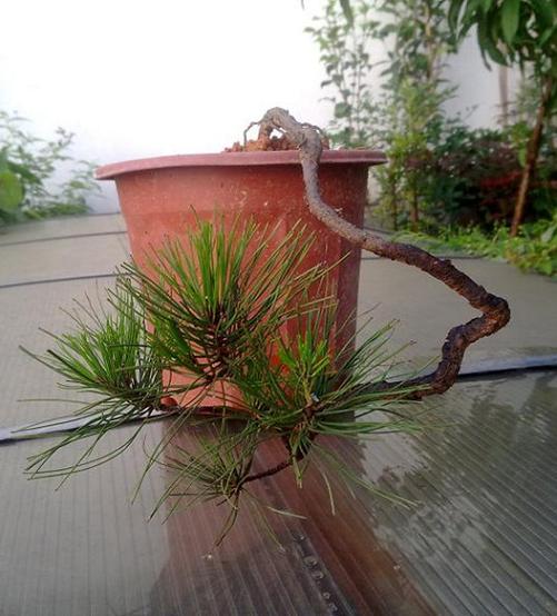 201205131136.jpg