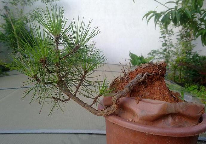 201205131137.jpg