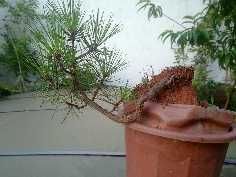 201205131138.jpg