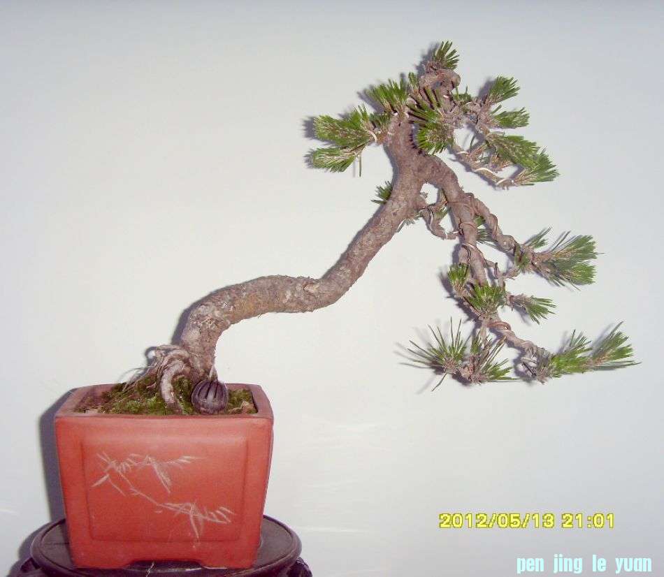 SDC12829.JPG