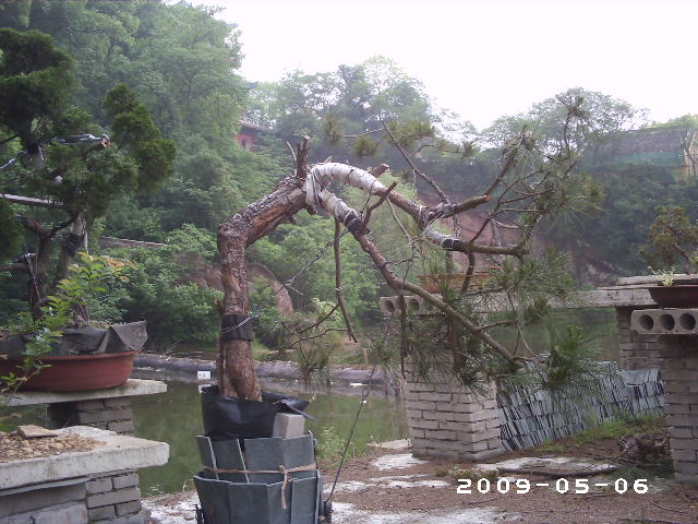 PHOT0074.JPG