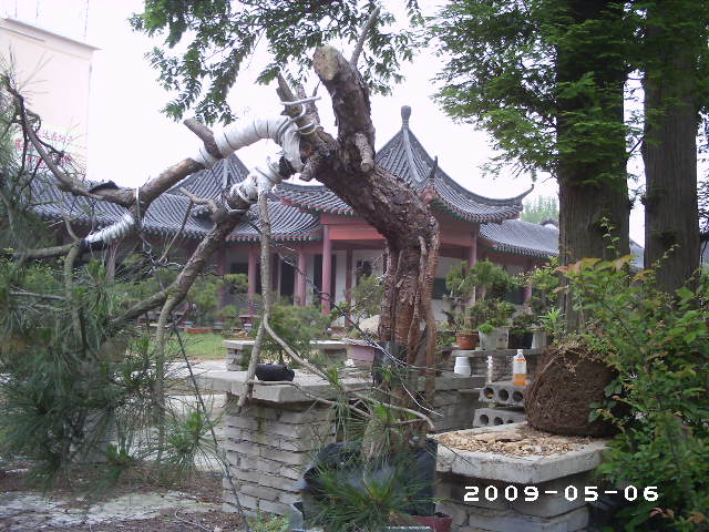 PHOT0076.JPG