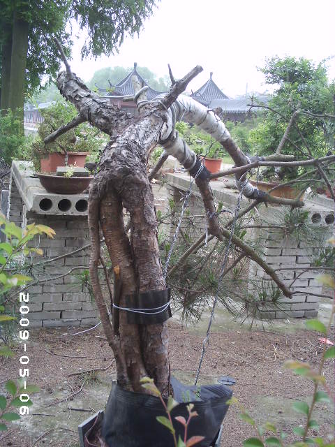 PHOT0077.JPG