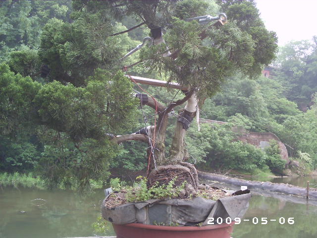 PHOT0078.JPG