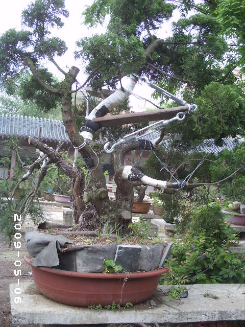 PHOT0079.JPG