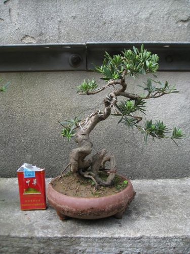 Ƭ 15106[2]ȸ.jpg.thumb.jpg