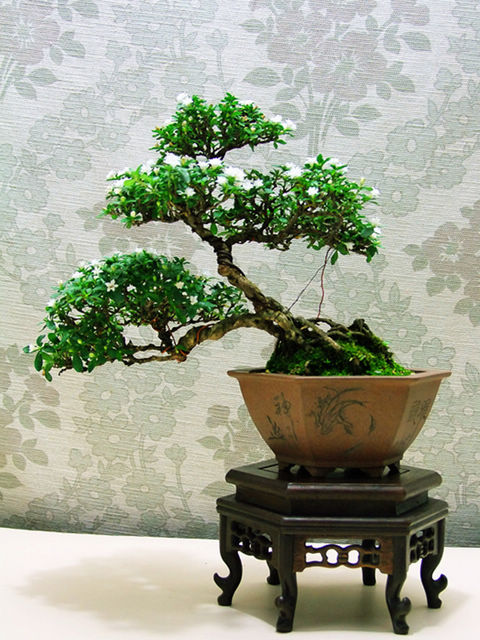 DSCF8070_.jpg