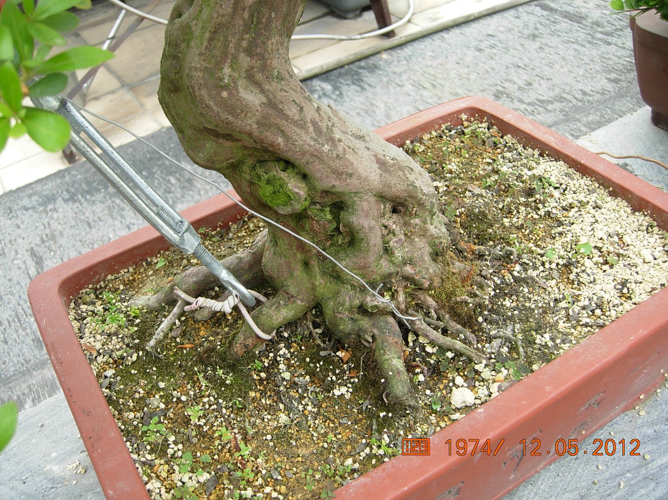 DSCN6132.JPG