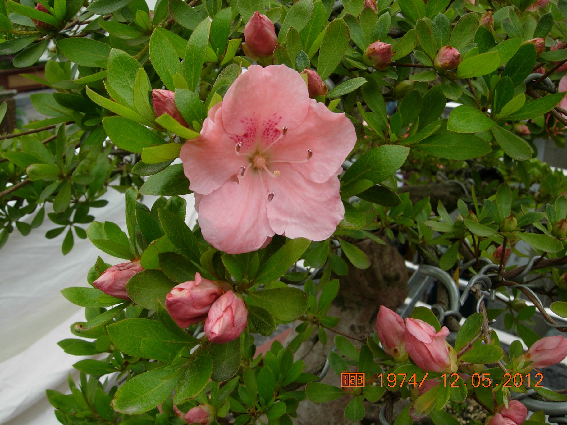 DSCN6134.JPG