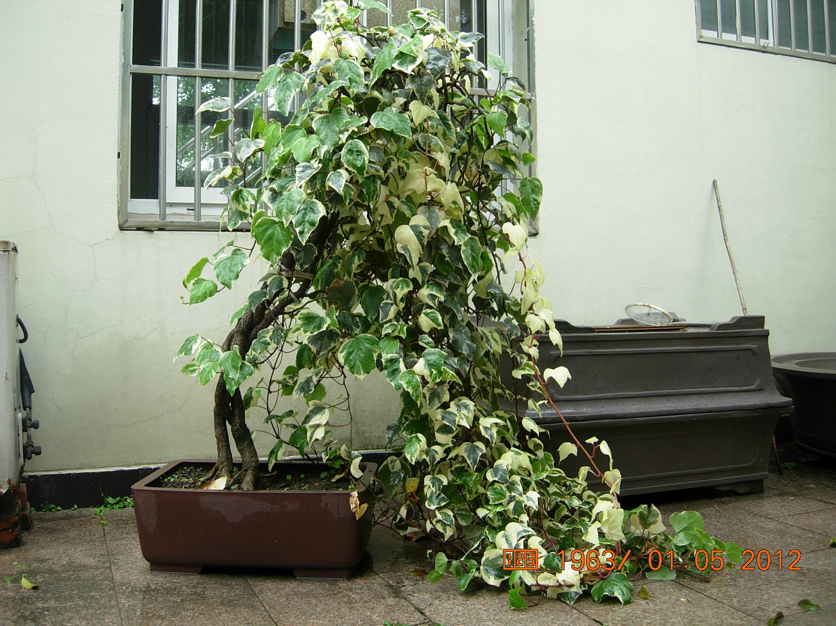 DSCN6031.JPG