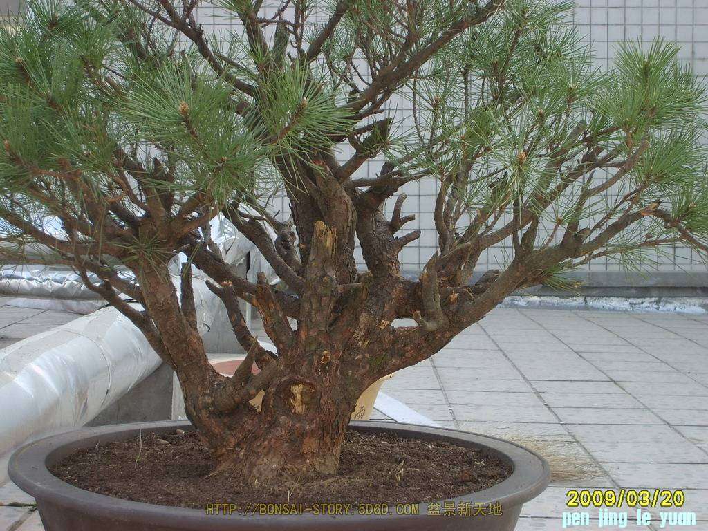 0904232012f2bc421fbf5ed374.jpg