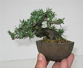 image148.jpg