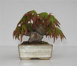 image33.jpg