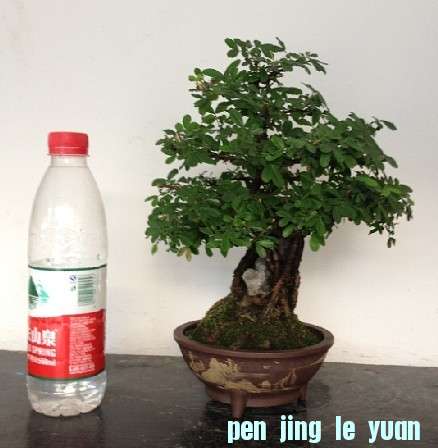 δ.jpg