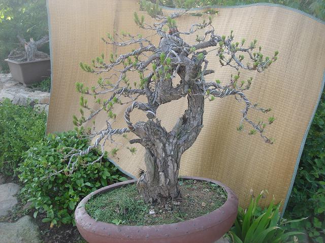 DSC05881.JPG