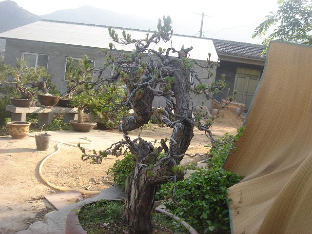 DSC05883.JPG