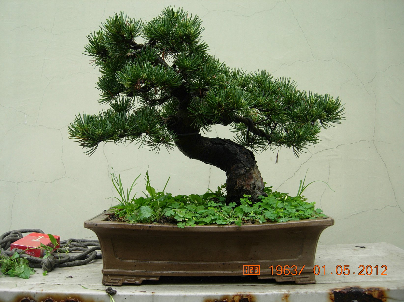 DSCN6029.JPG