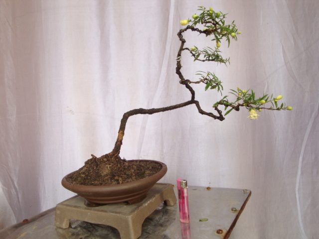 DSC07114.JPG