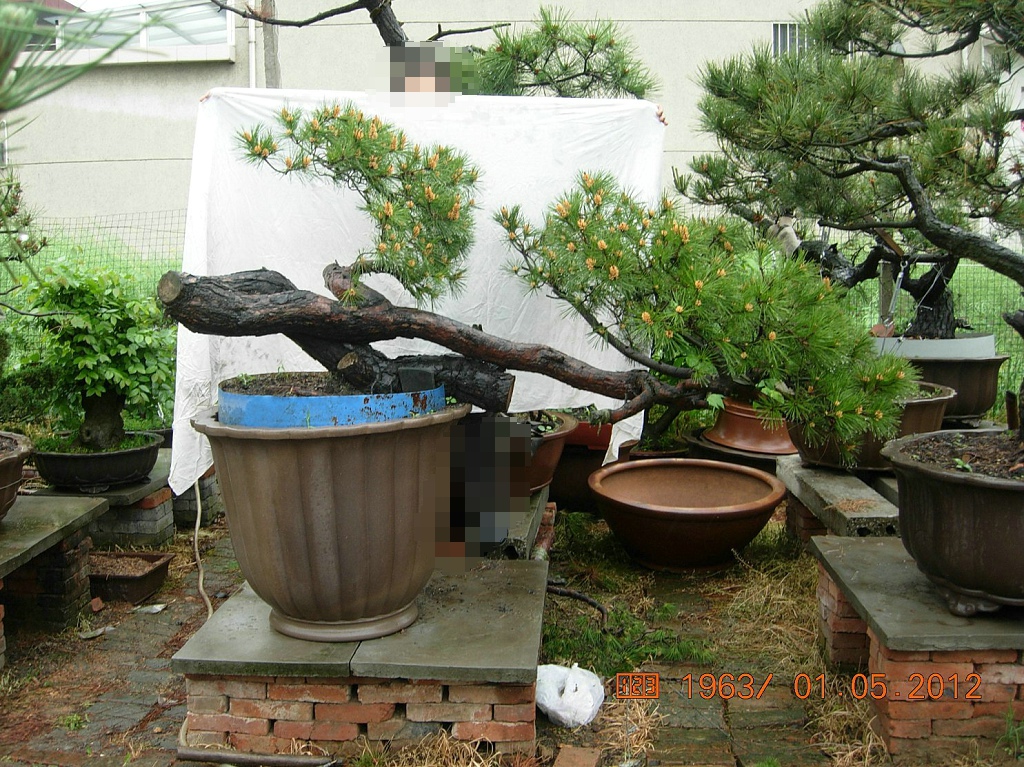 DSCN6007.JPG