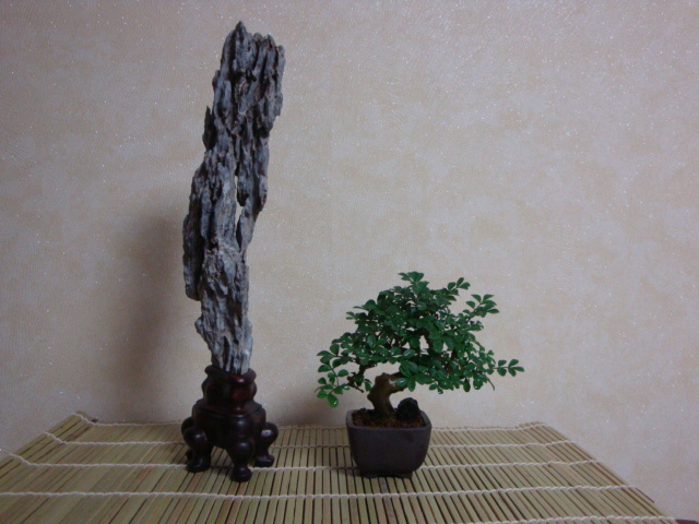 DSC08908.JPG
