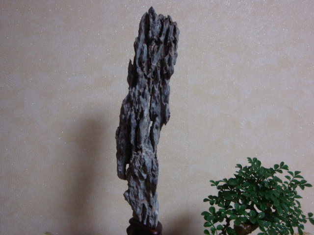 DSC08909.JPG