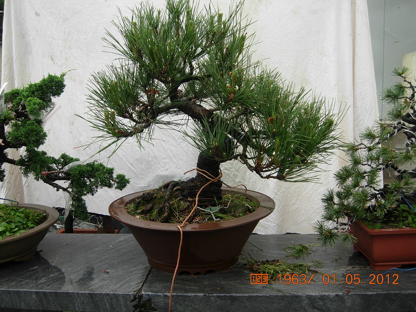 DSCN6055.JPG