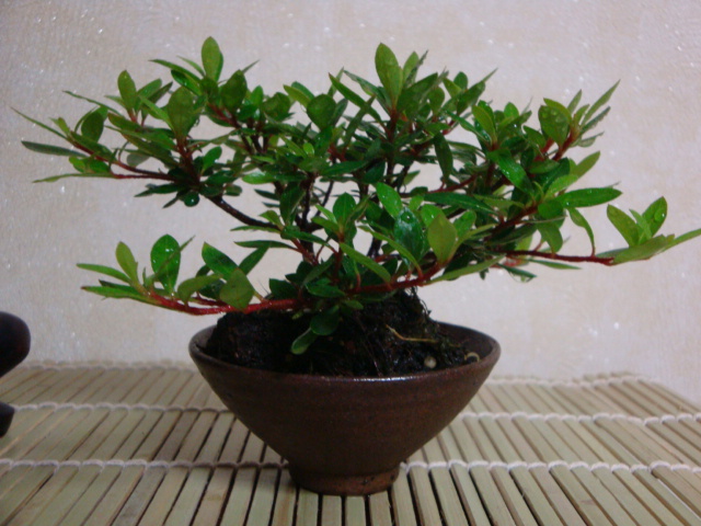 DSC08915.JPG