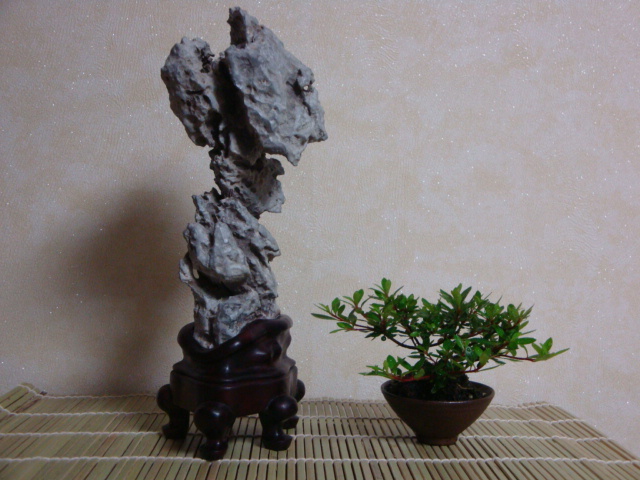 DSC08912.JPG