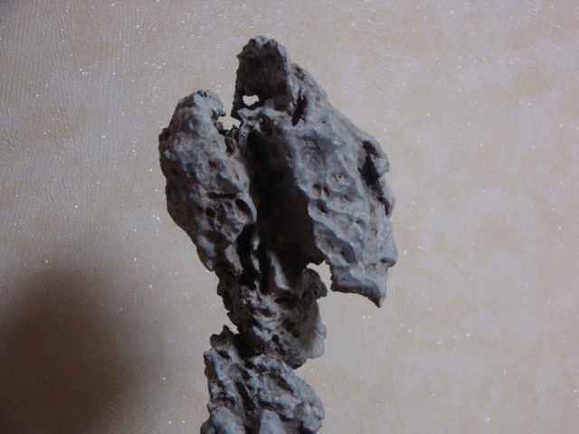 DSC08913.JPG